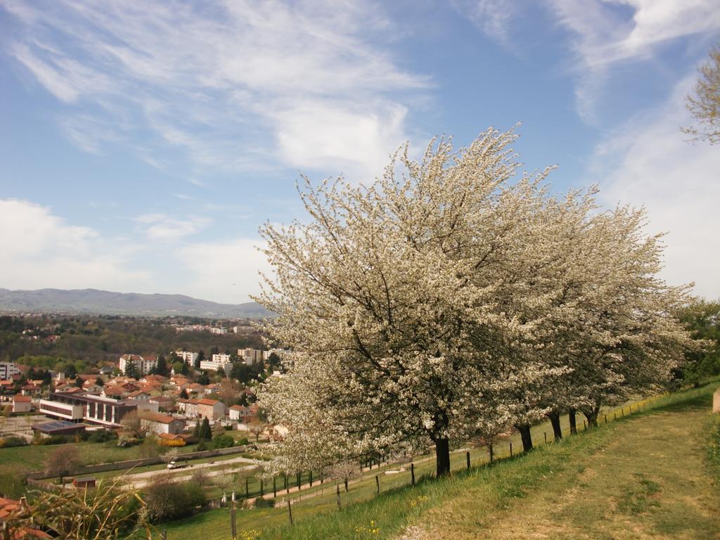 Domaine Lyon Saint Joseph Ξενοδοχείο Sainte-Foy-lès-Lyon Εξωτερικό φωτογραφία